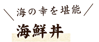 海の幸を堪能 海鮮丼